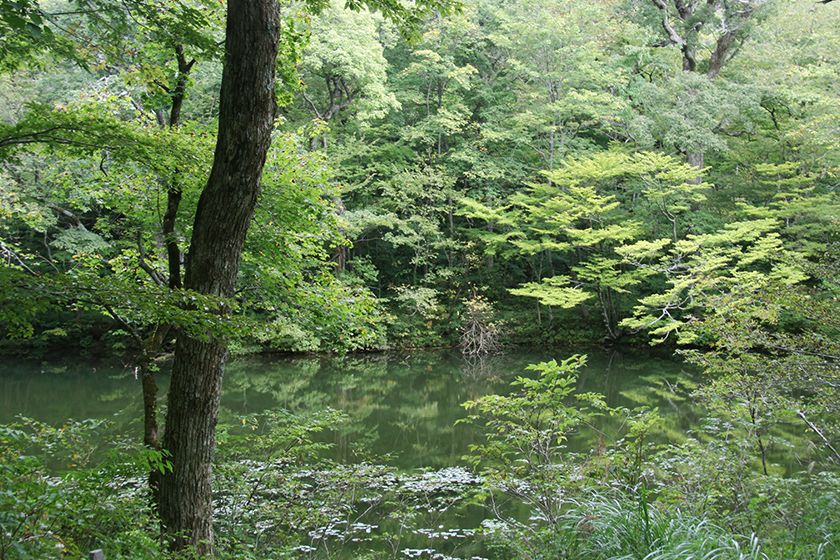 神秘的な池には竜神伝説が伝わります。