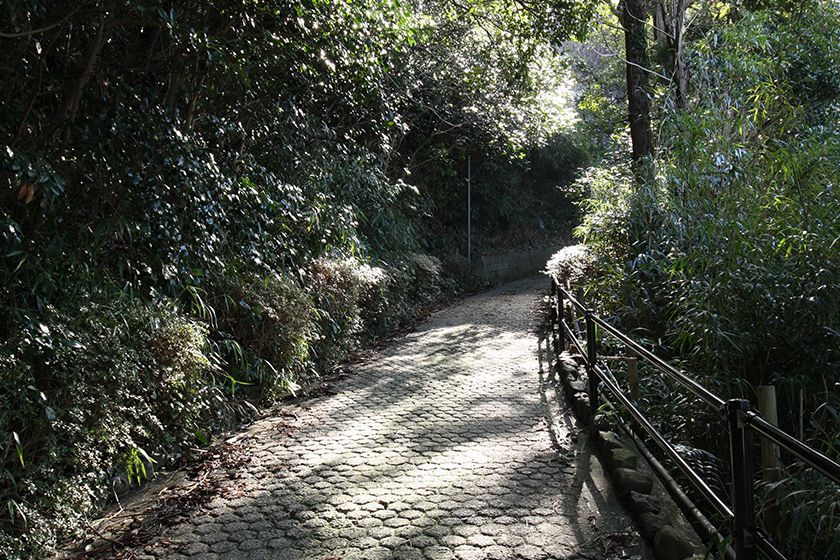 公園までは鬱蒼とした木々の坂道が続きます。