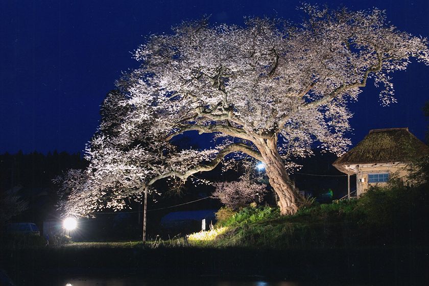 水を張った田んぼに映る光景も風情があります。