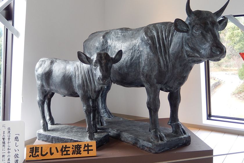 3階の「悲しい佐渡牛」像