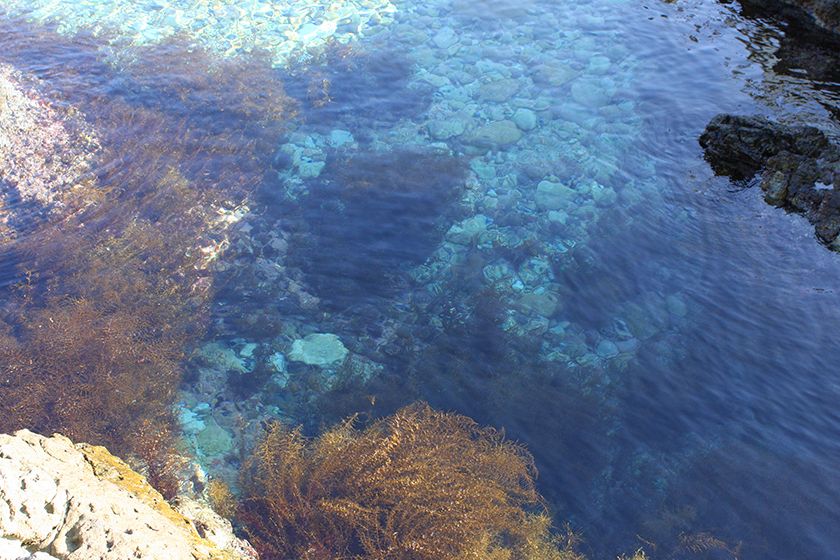 夫婦岩付近のミネラル豊富な海水を使っています。