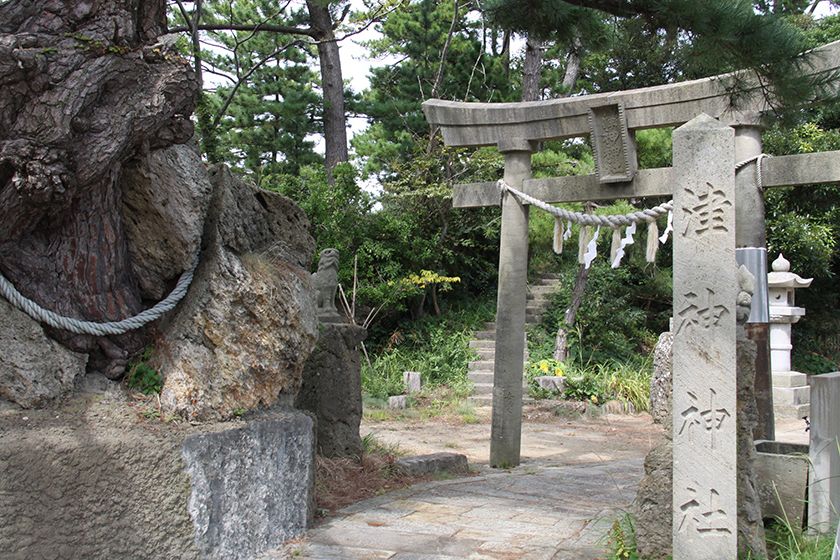 赤い橋の先には「安産の松」があります。