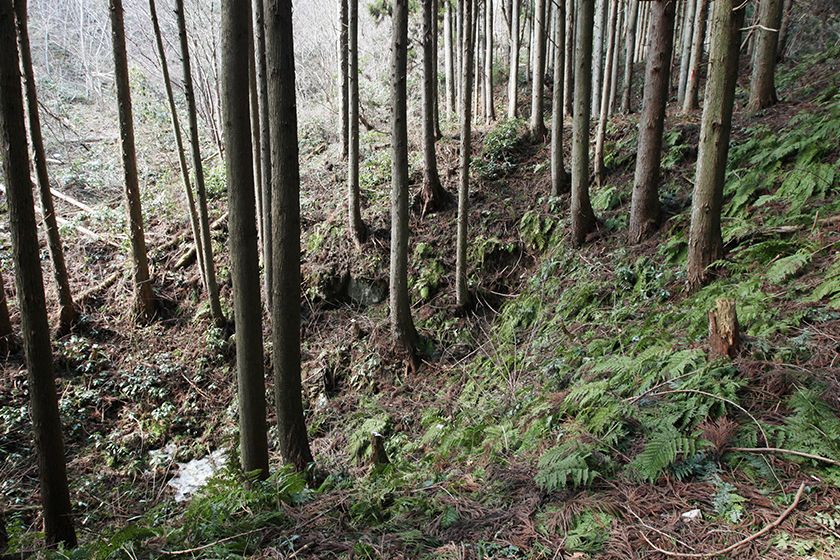 初期に開発された百枚平の露頭掘り跡。