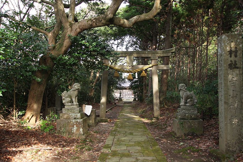 石臼塚は小泊白山神社の境内にあります。