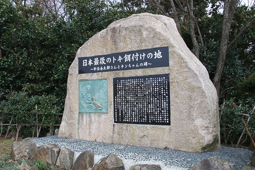 石碑は地元有志会によって建立されました。