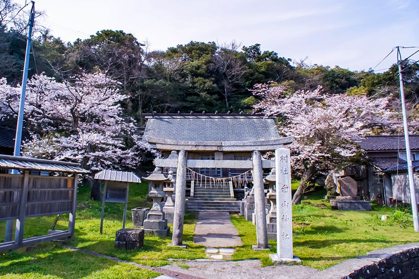 「白山神社」宿根木集落の鎮守。尾道産御影石の鳥居があります。