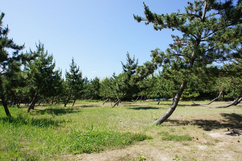 窪田キャンプ場