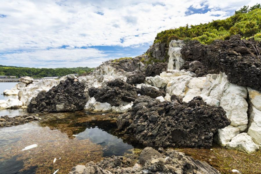 磯遊び、海水浴、釣りなどを楽しめます。