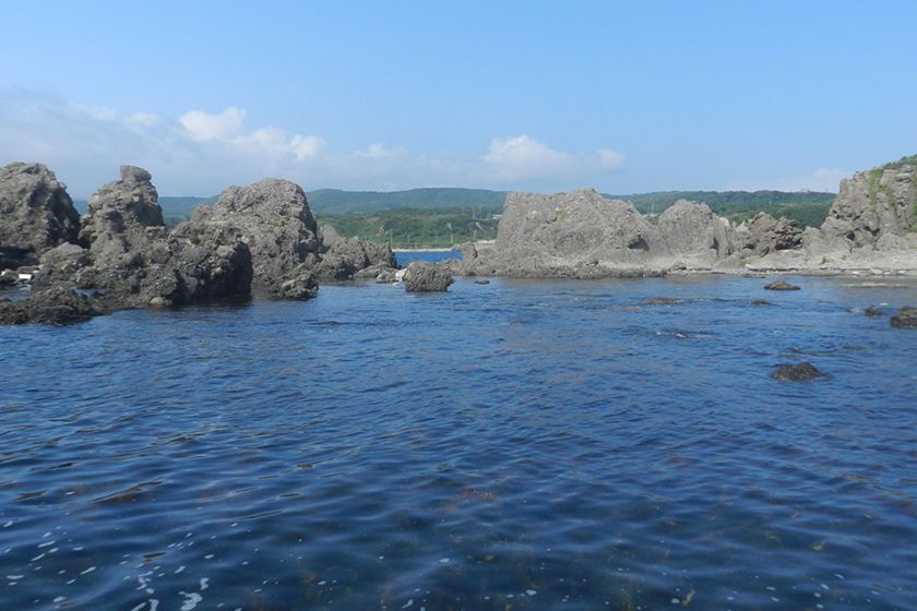 奇岩が点在する変化のある海岸美