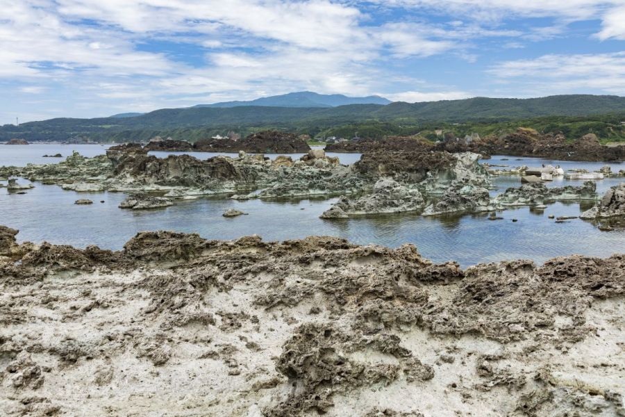 隆起海岸の特徴をよく表しています。