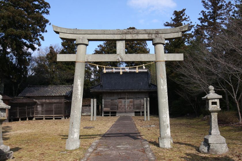 豊かな社叢に包まれています。