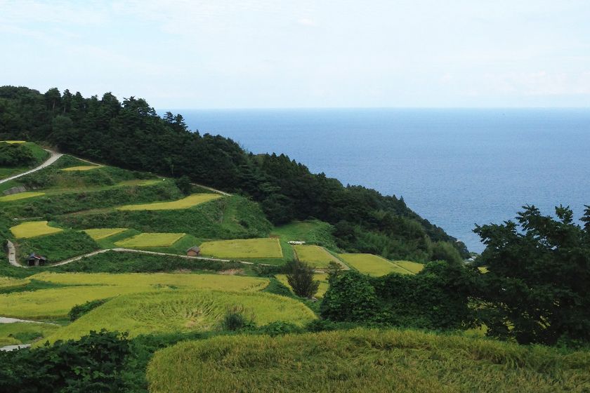 おだやかな前浜海岸を望みます。