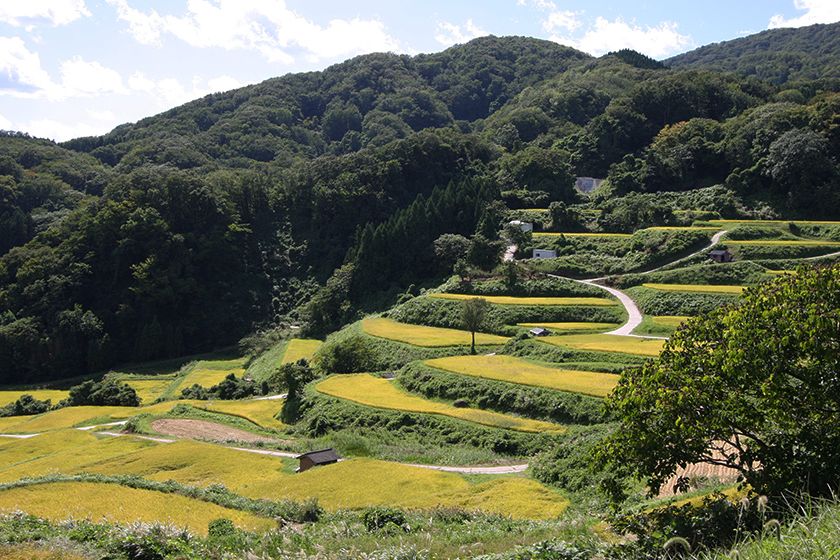 実りの季節の美しい光景