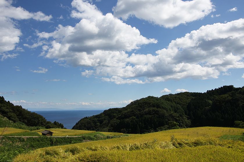 トキの野生復帰を目指した環境作りに取り組んでいます。