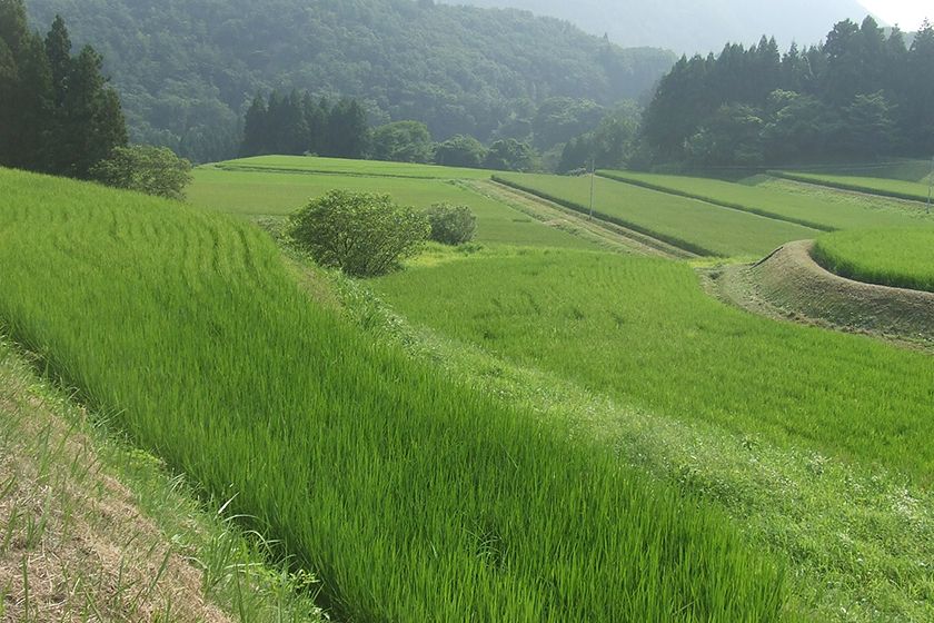 佐渡の秘境と呼ばれる山あいのエリア