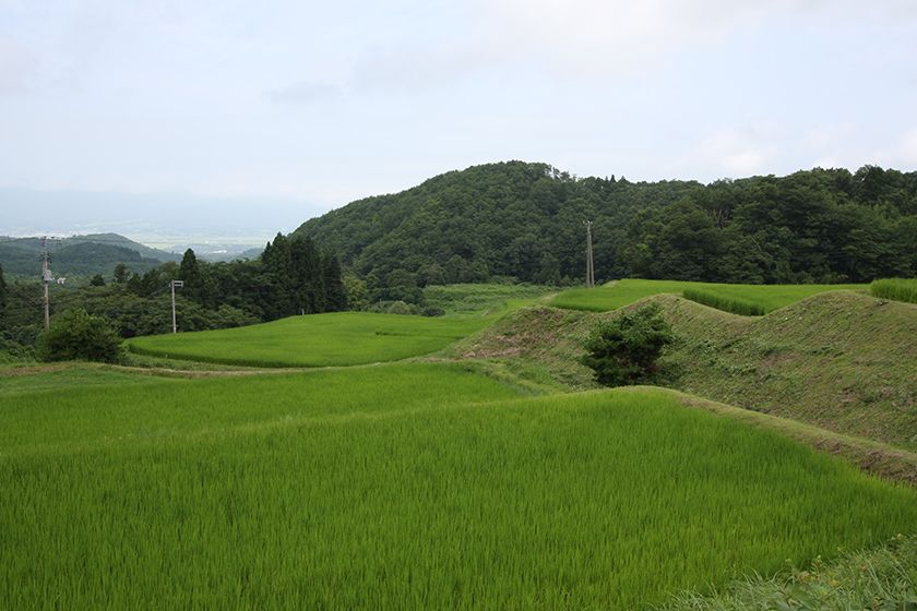 豊かな自然が多くの移住者を惹きつける猿八地区