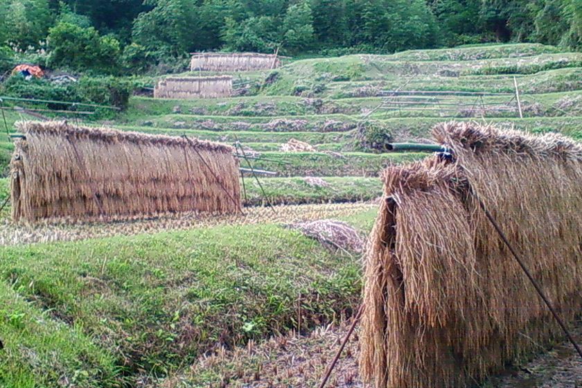 月布施棚田