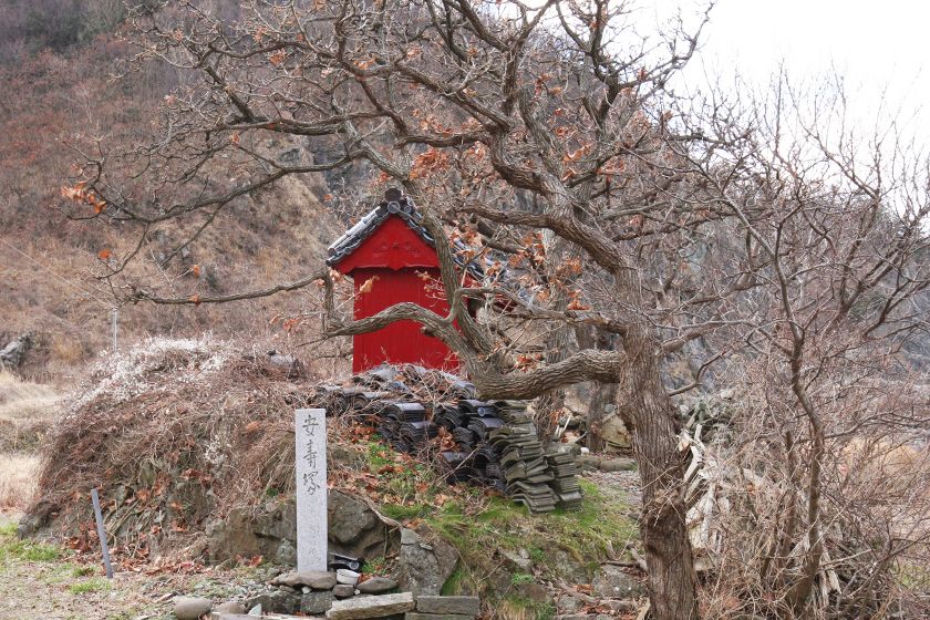 安寿塚全景