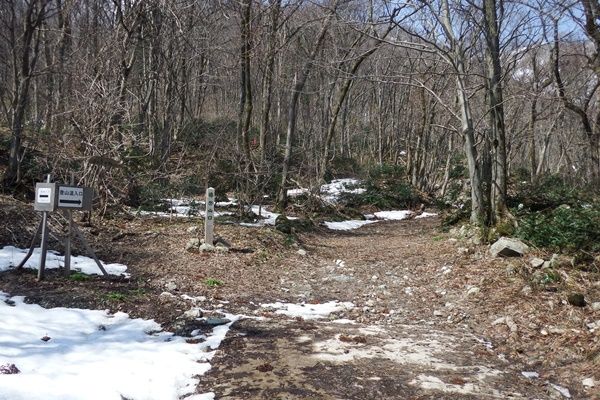 ドンデン山・椿登山口