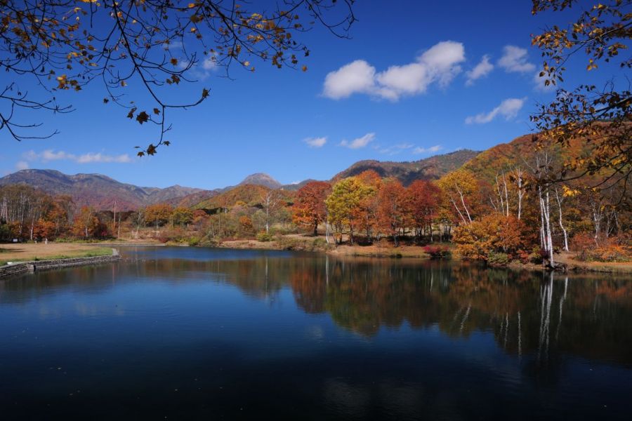 清水ヶ池（笹ヶ峰高原）（最寄りのバス停留所：県民の森入口停留所）