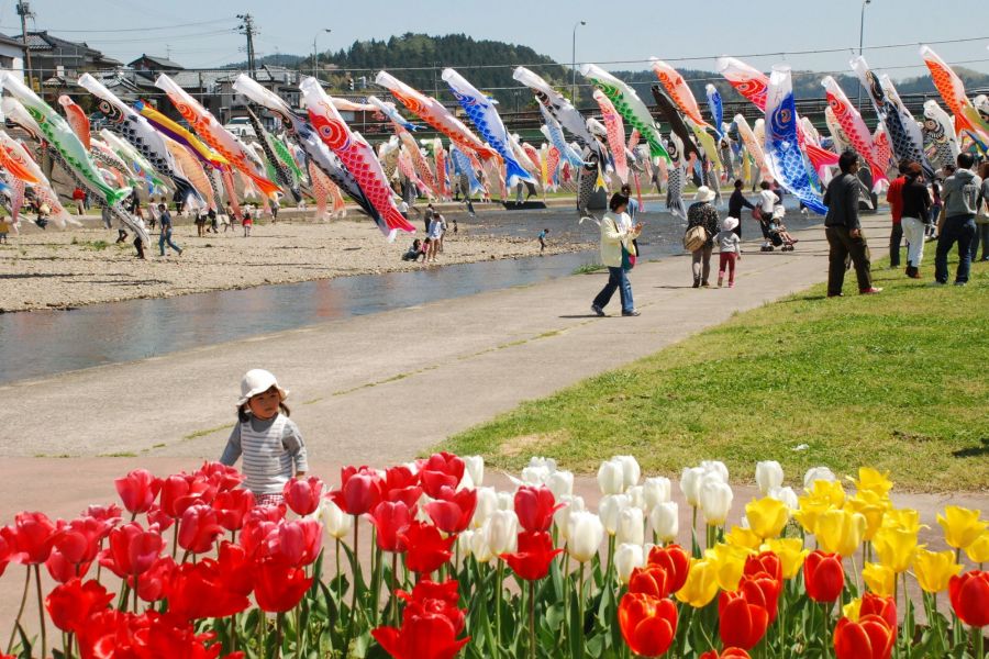 加茂川を泳ぐ鯉のぼり 新潟のイベント 公式 新潟県のおすすめ観光 旅行情報 にいがた観光ナビ