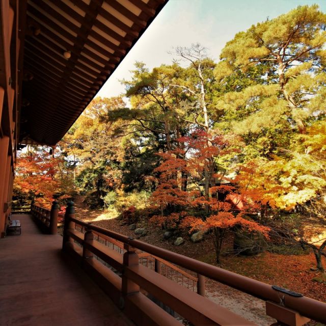 乙宝寺