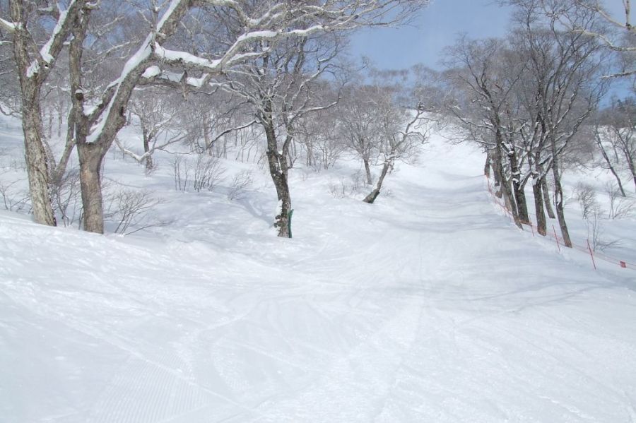 かぐらスキー場 かぐら みつまたエリア 新潟の観光スポット 公式 新潟県のおすすめ観光 旅行情報 にいがた観光ナビ