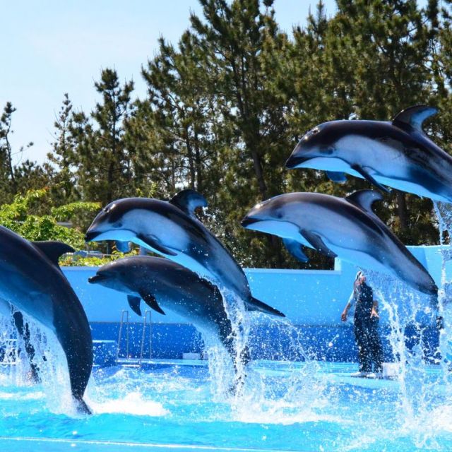 新潟市水族館 マリンピア日本海