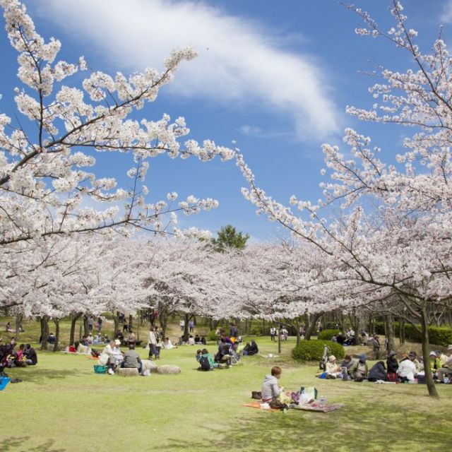 鳥屋野潟公園鐘木地区