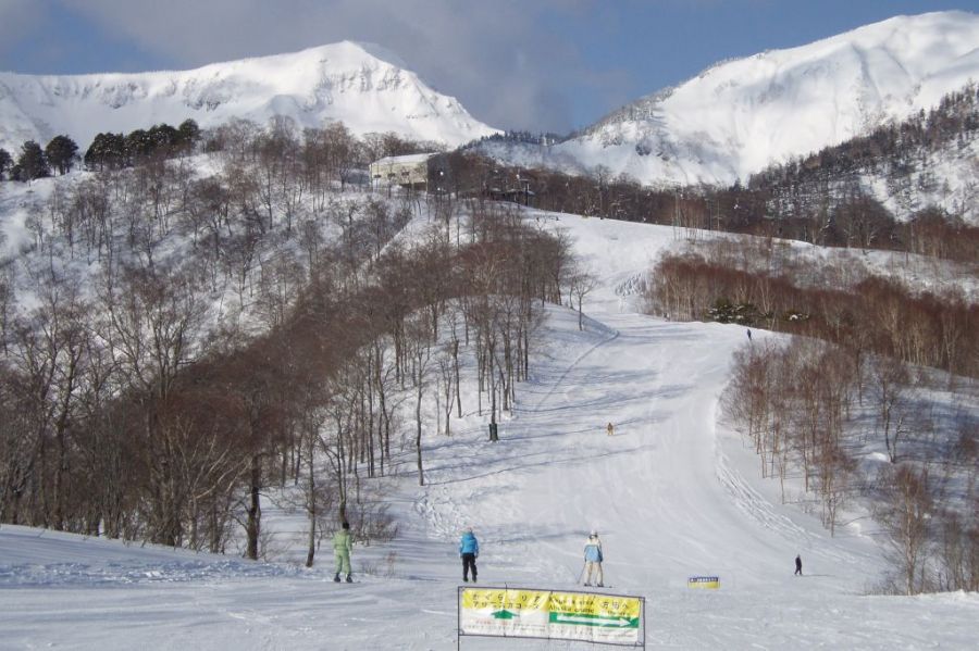 かぐらスキー場 田代エリア 新潟の観光スポット 公式 新潟県のおすすめ観光 旅行情報 にいがた観光ナビ