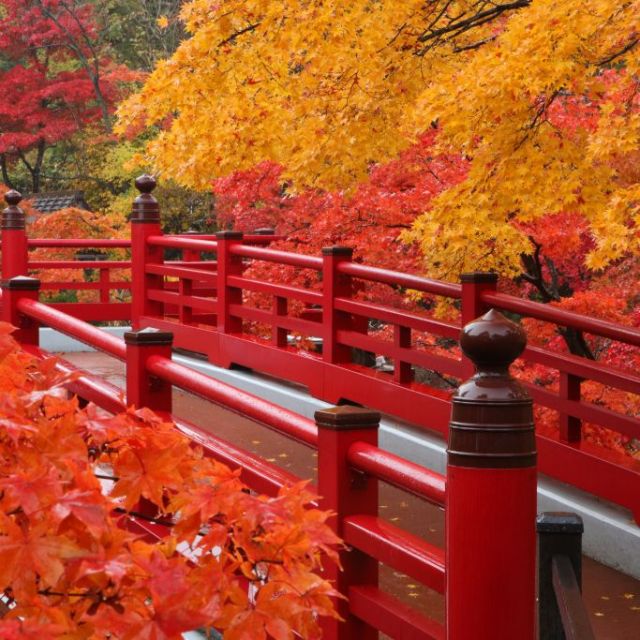 弥彦公園