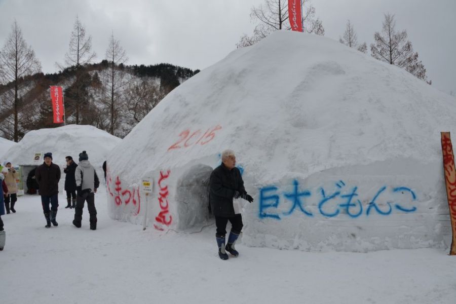 おおいし・どもんこ祭り