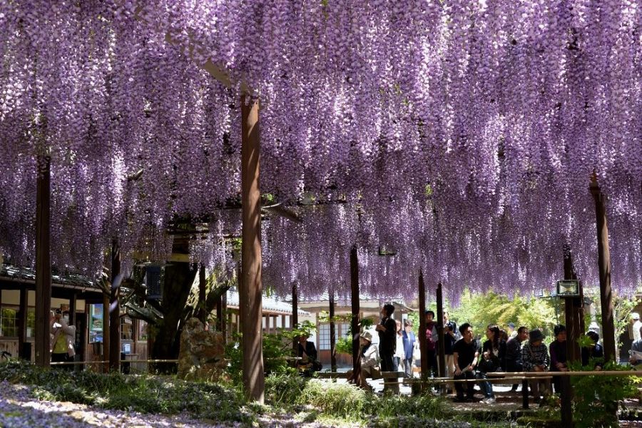 北方文化博物館 新潟の観光スポット 公式 新潟県のおすすめ観光 旅行情報 にいがた観光ナビ