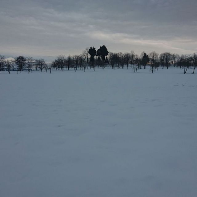 雪原（おぢやクラインガルテンふれあいの里）
