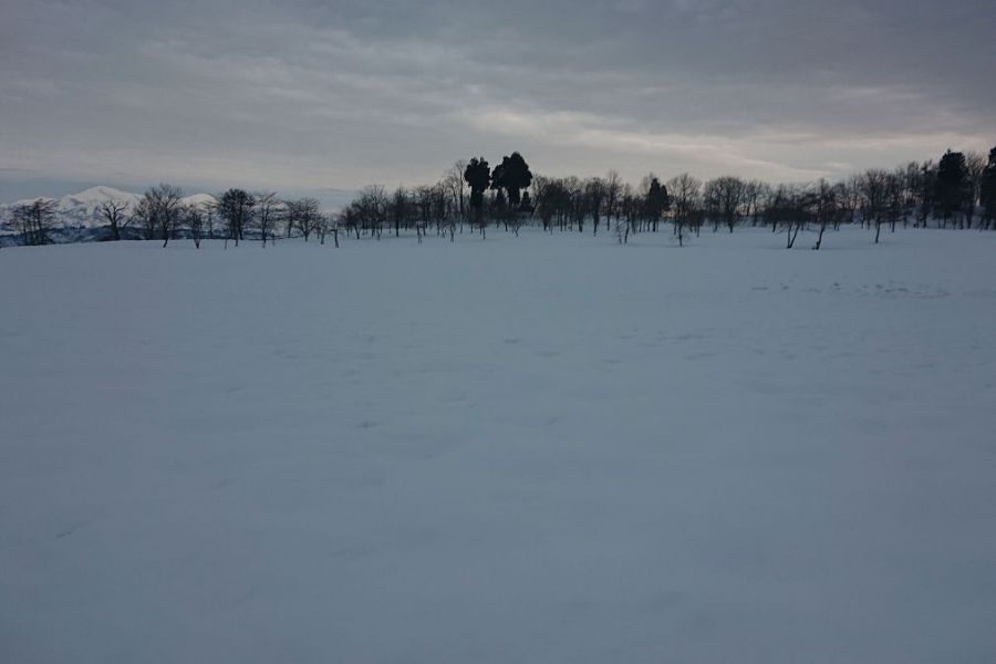 雪原（おぢやクラインガルテンふれあいの里）