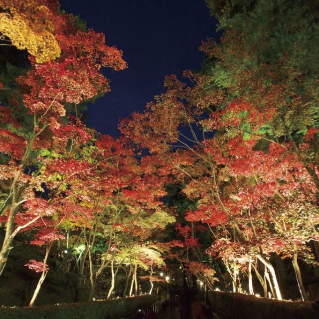 松雲山荘