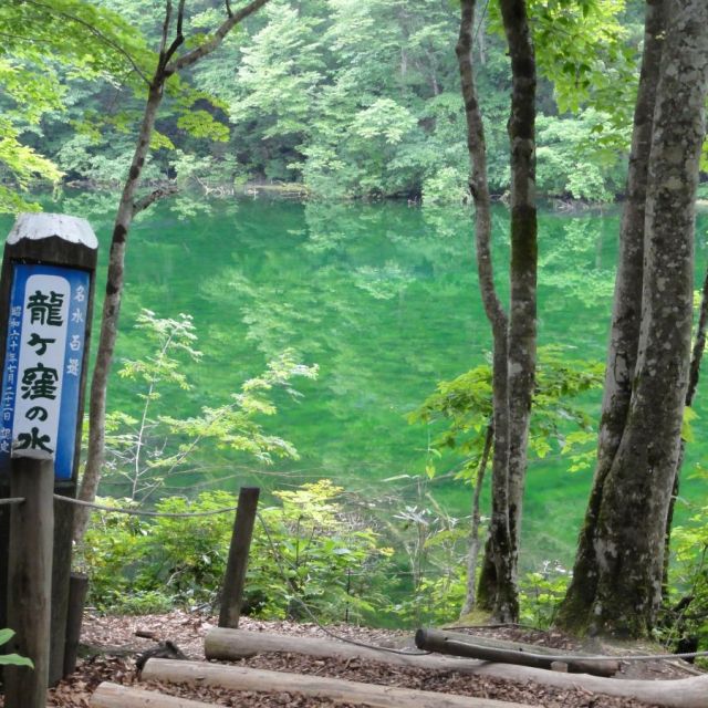 龍ヶ窪の池