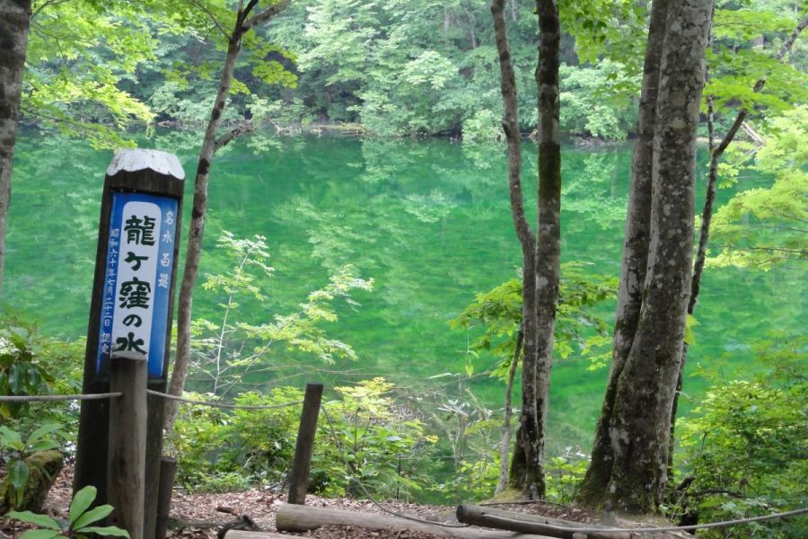 龍ヶ窪の池