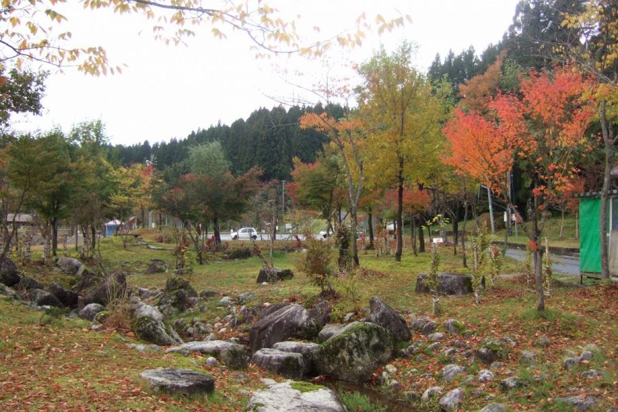 滝谷森林公園 新潟の観光スポット 公式 新潟県のおすすめ観光 旅行情報 にいがた観光ナビ