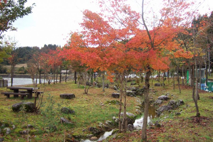 滝谷森林公園 新潟の観光スポット 公式 新潟県のおすすめ観光 旅行情報 にいがた観光ナビ