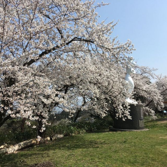 秋葉公園