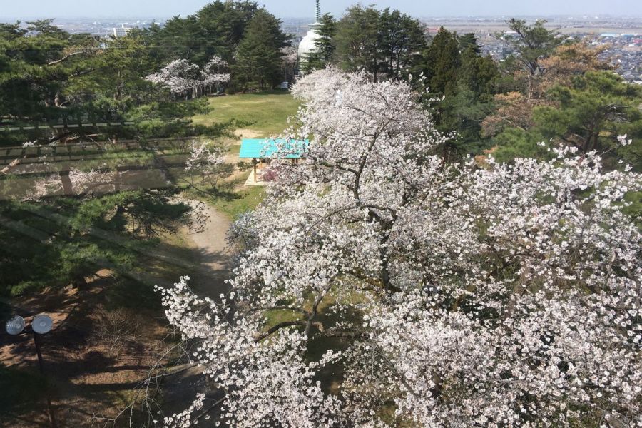 五峰閣展望台より