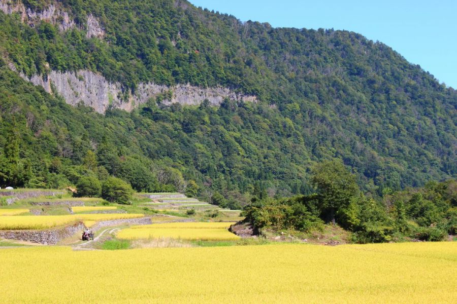 結東の石垣田