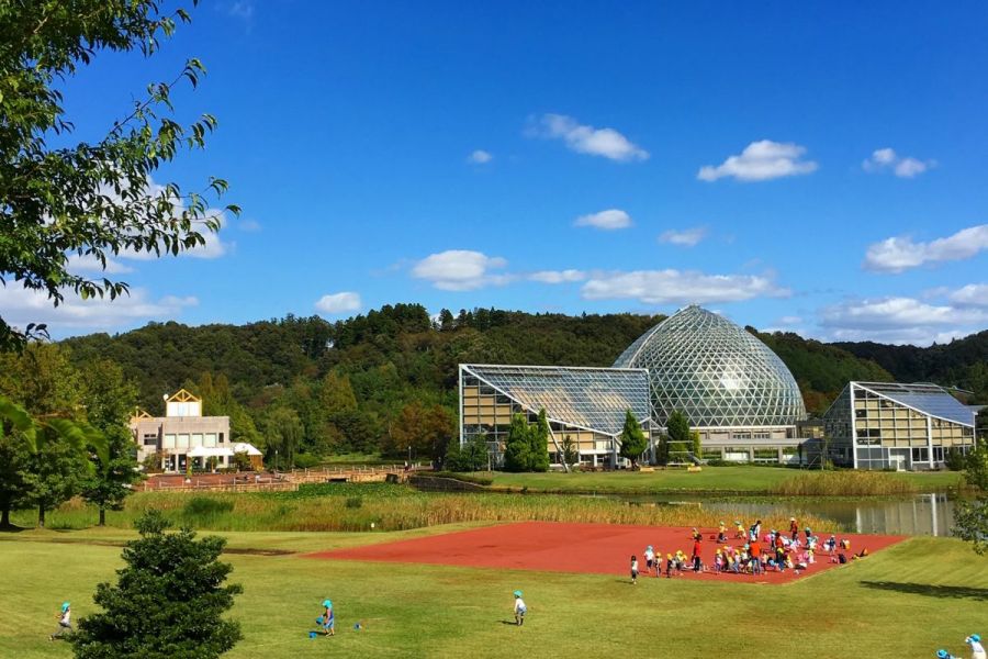 新潟県立植物園 熱帯植物ドーム ロケ地検索 新潟ロケーションガイド 公式 新潟県のおすすめ観光 旅行情報 にいがた観光ナビ