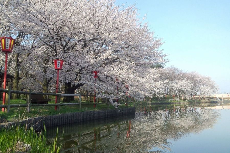 弁天潟風致公園 新潟の観光スポット 公式 新潟県のおすすめ観光 旅行情報 にいがた観光ナビ