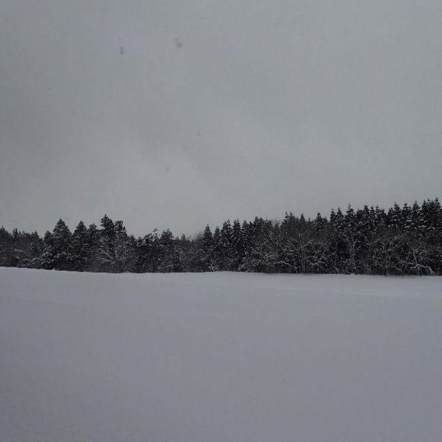 牧草地・雪原