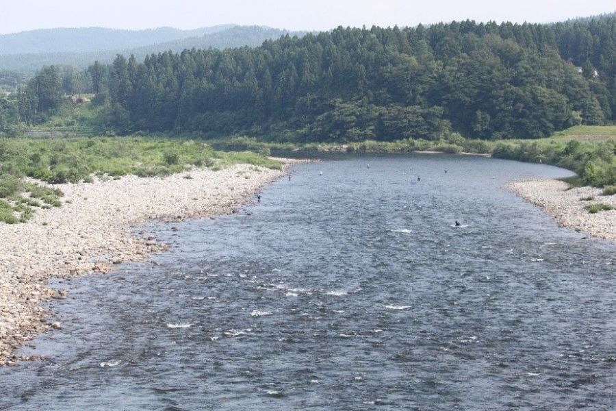 鮎釣り