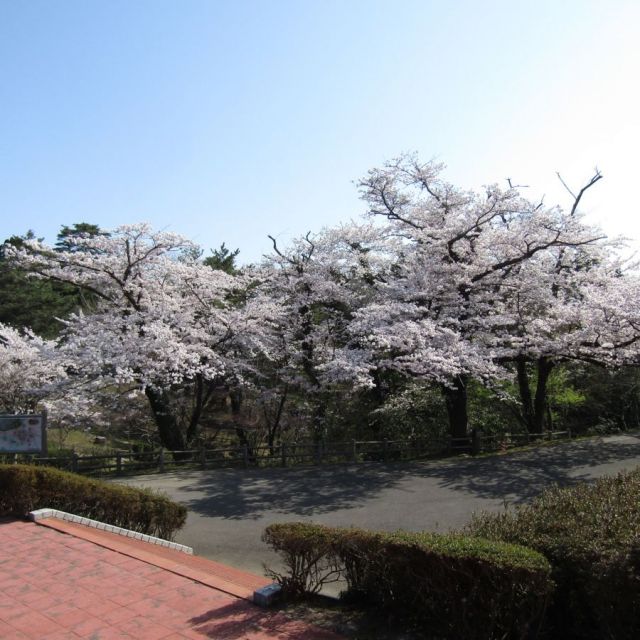 赤坂山公園