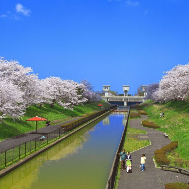 桜遊歩道公園