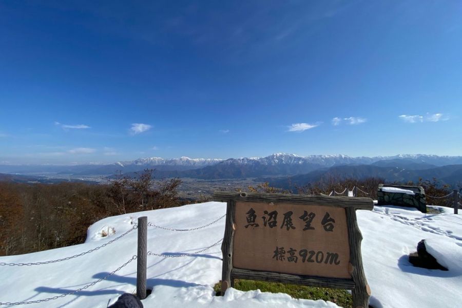 展望台からの眺め